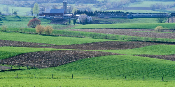 Agrupaciones de Fincas rústicas