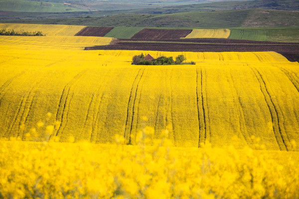 Reparcelaciones · Topógrafos Servicios Topográficos y Geomáticos Santa Fe del Penedès