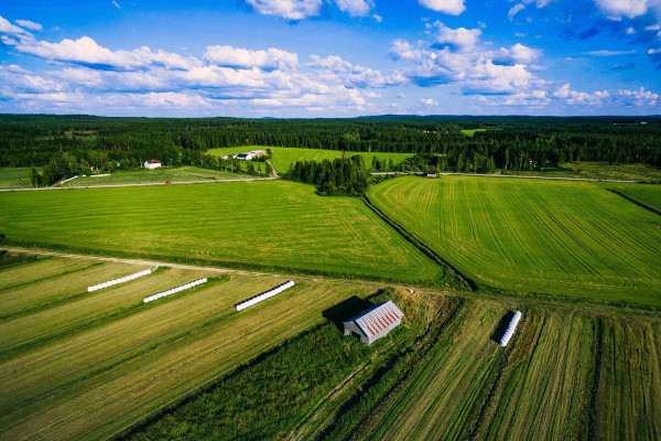 Segregar Fincas · Topógrafos Servicios Topográficos y Geomáticos  Castellfollit de Riubregós